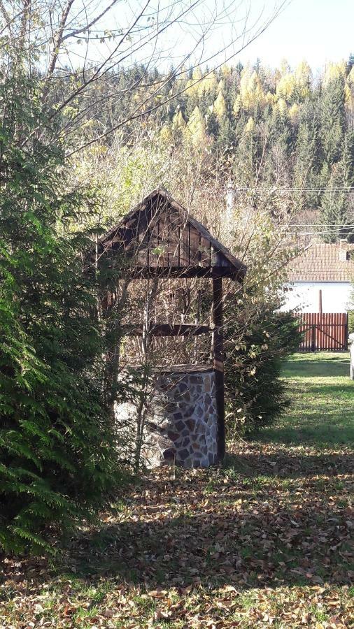 Hunor-Magor Vendeghaz Villa Izvoare  Eksteriør billede