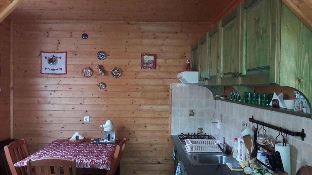 Hunor-Magor Vendeghaz Villa Izvoare  Eksteriør billede
